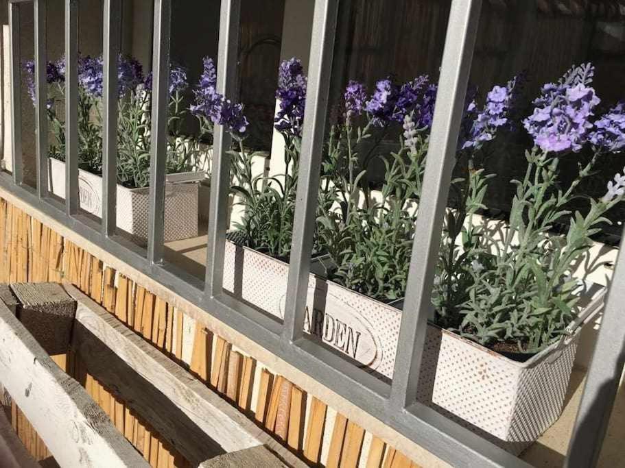 Oak House Oakplacescom ليون المظهر الخارجي الصورة